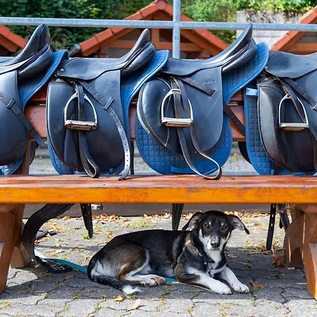 Freund - Privathotels Dr Lohbeck فندق Oberorke