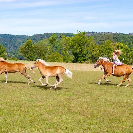 Freund - Privathotels Dr Lohbeck ホテル 4*