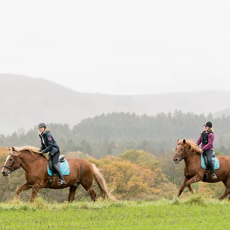 Freund - Privathotels Dr Lohbeck فندق 4*