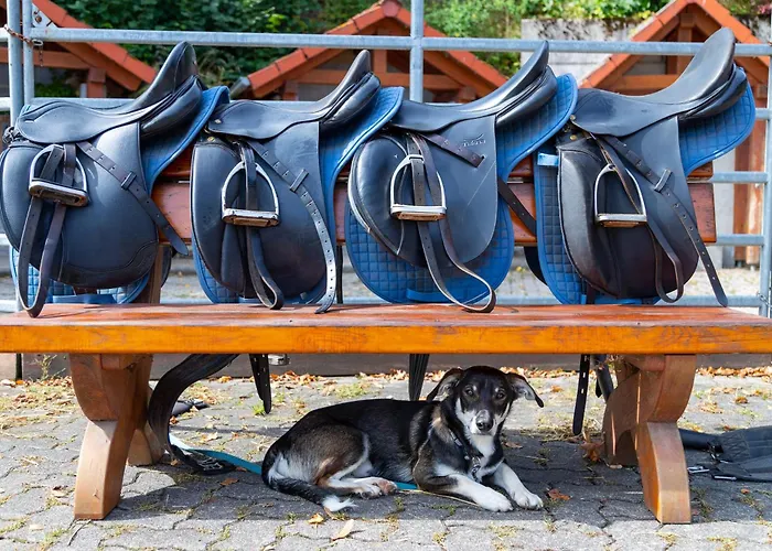 Freund - Privathotels Dr Lohbeck Hotel Oberorke