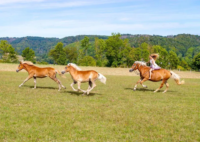 Freund - Privathotels Dr Lohbeck Hotel 4*