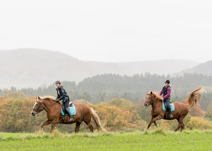 Freund - Privathotels Dr Lohbeck Hotel 4*